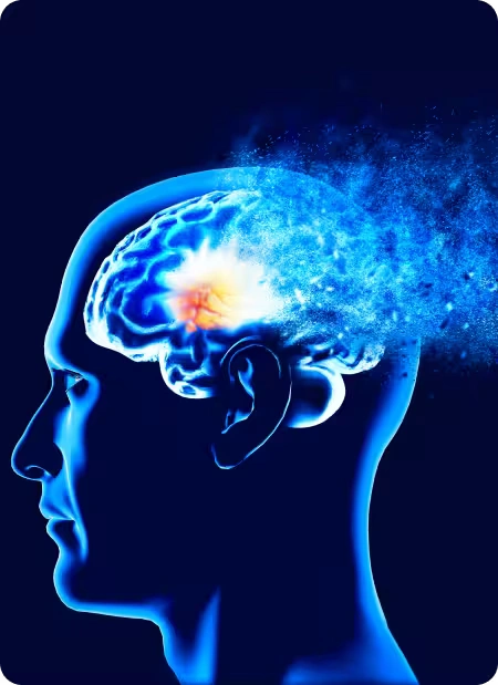 Neurovera -supplement